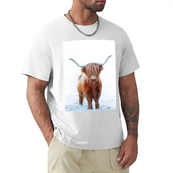 Високият крава, Шотландия. Тениски по поръчка, мъжки ризи